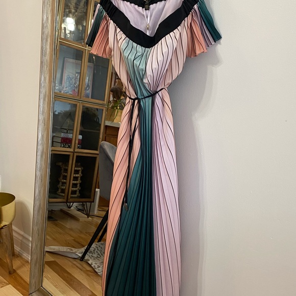 NEW TED BAKER Colourblock Pleated Midi Dress - Picture 4 of 6